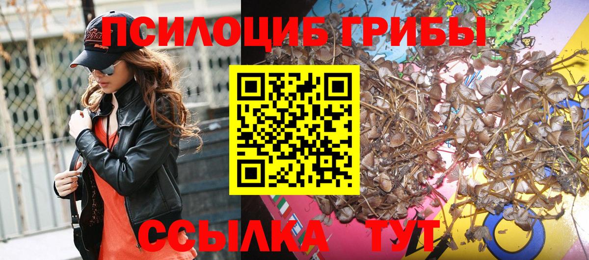 Псилоцибиновые грибы ЛСД Ставрополь