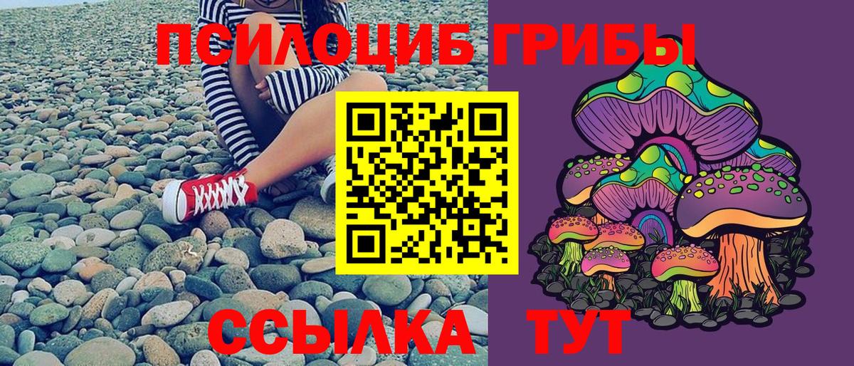 купить наркотики цена  Галлюциногенные грибы Cubensis  Псилоцибиновые грибы мицелий  Вход с VPN  Ставрополь 